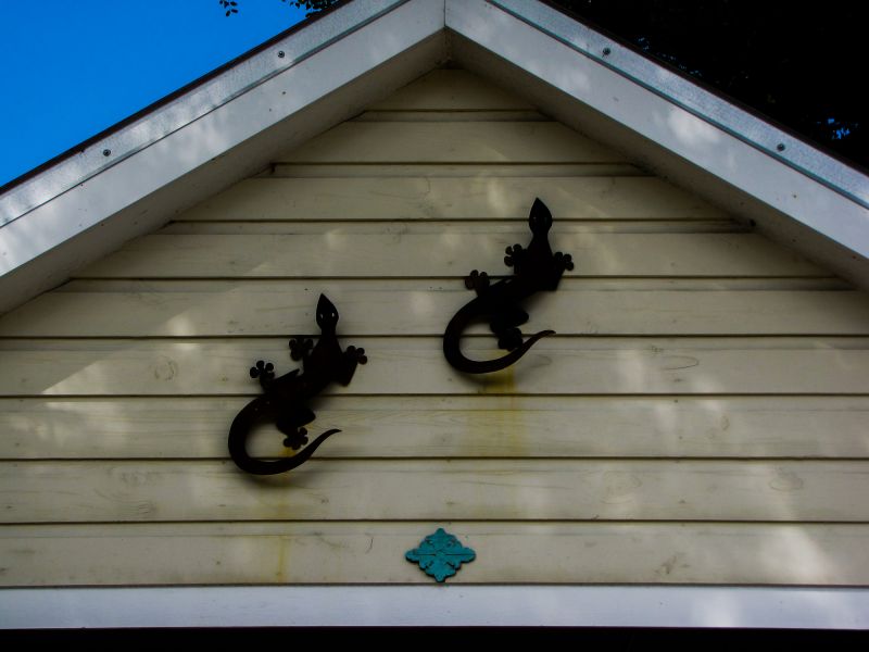 Shiplap Siding Replacement